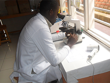 Laboratory